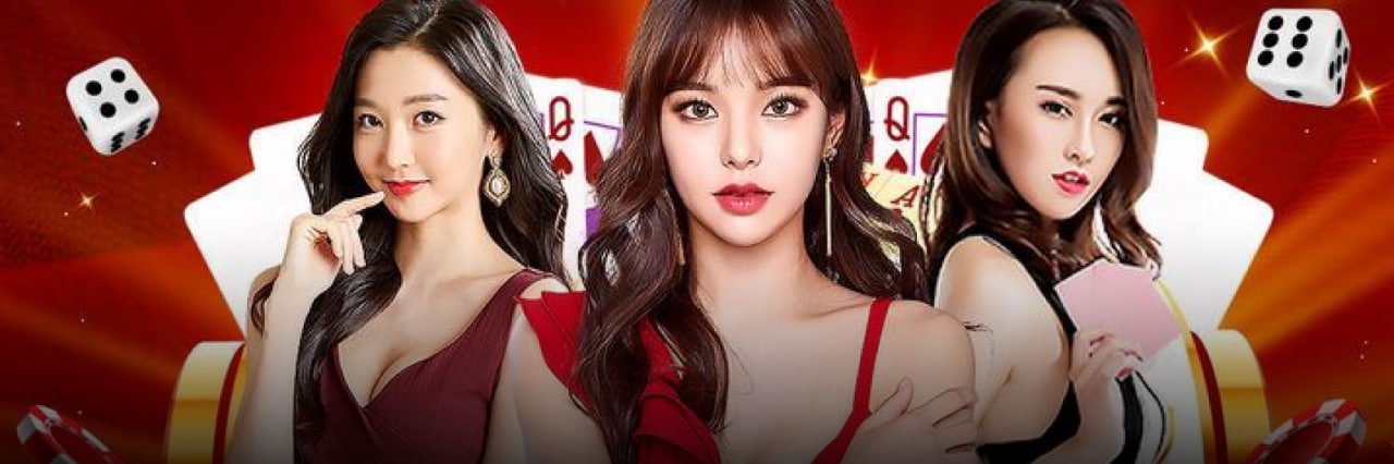 qq288